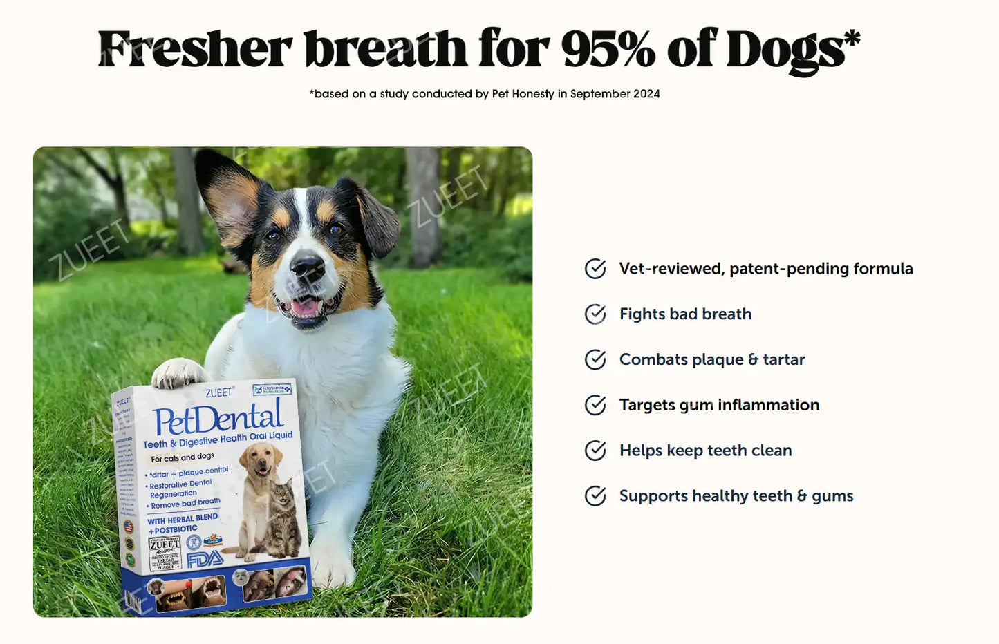 【Official Store】🎅🎁ZUEET® Pet Teeth & Digestive Health Oral Liquid 😻🐶 – Makes breath fresh & cleans dirty teeth (Recommended for cats & dogs) – Last day! 80% OFF!